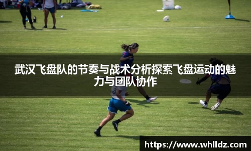 武汉飞盘队的节奏与战术分析探索飞盘运动的魅力与团队协作