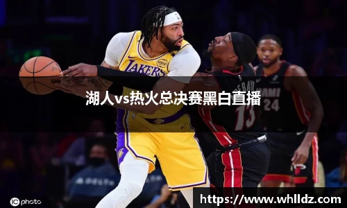 湖人vs热火总决赛黑白直播