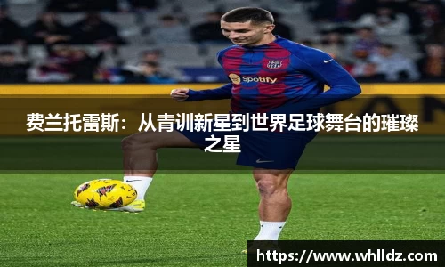 费兰托雷斯：从青训新星到世界足球舞台的璀璨之星